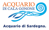 Acquario di Cala Gonone