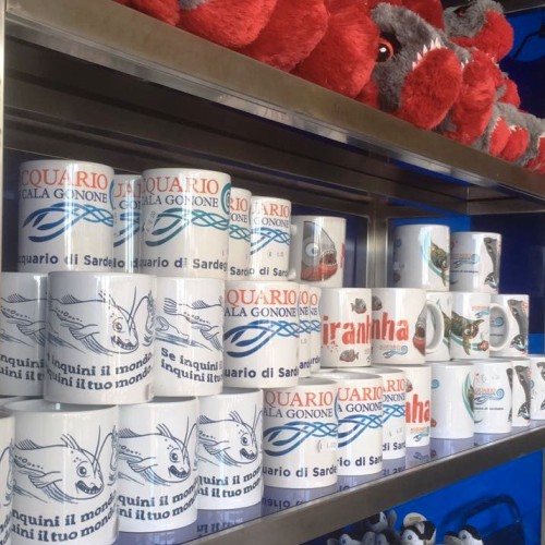 Shop - Acquario di Cala Gonone